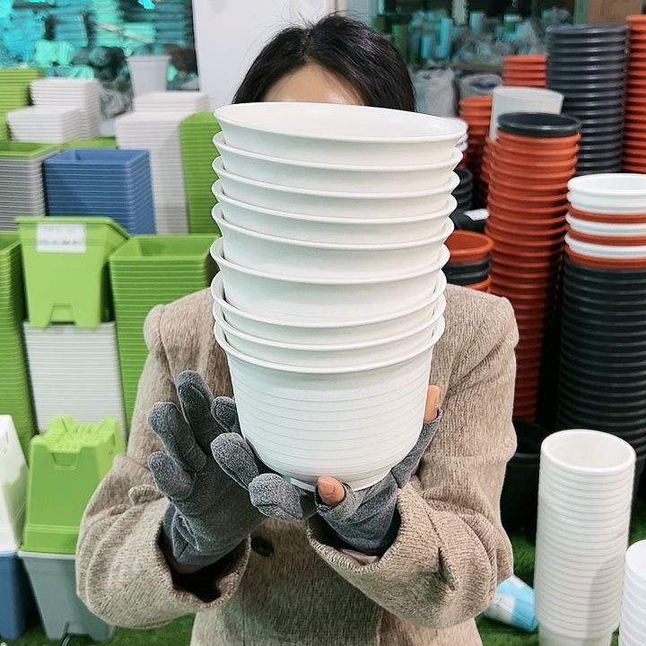正品矮陶口15高11白色10个带托