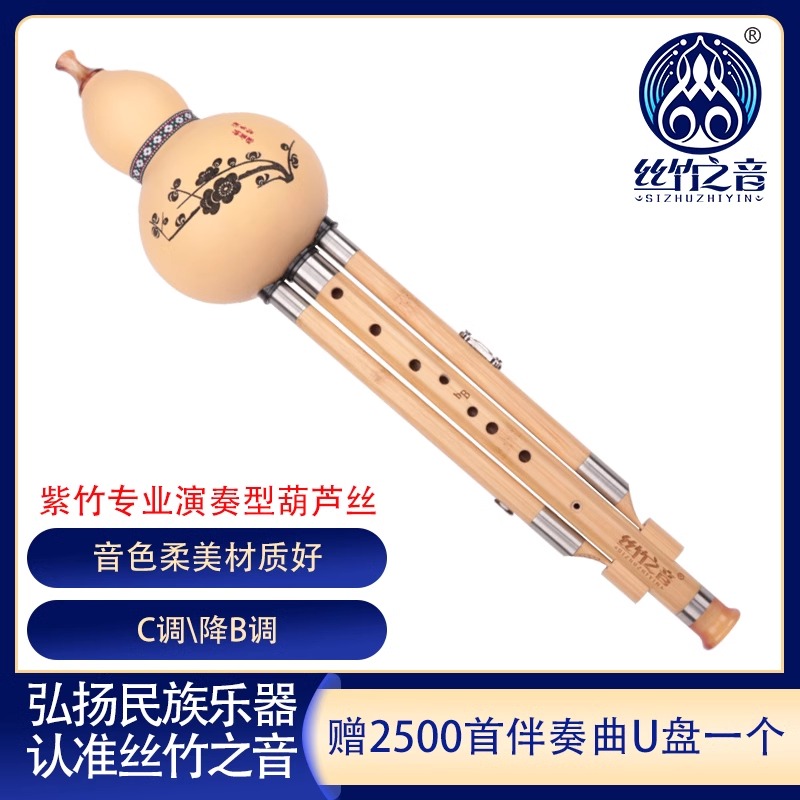 丝竹之音葫芦丝C调降b调F调儿童学生专用楠竹九孔葫芦丝演奏乐器