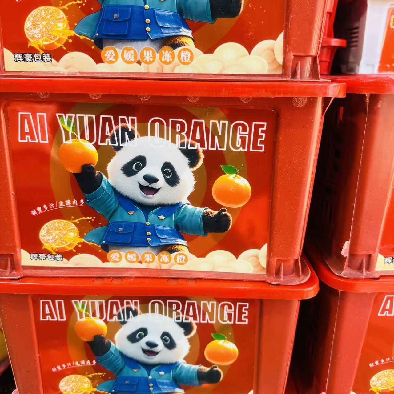 爱媛果冻橙橙子四川省