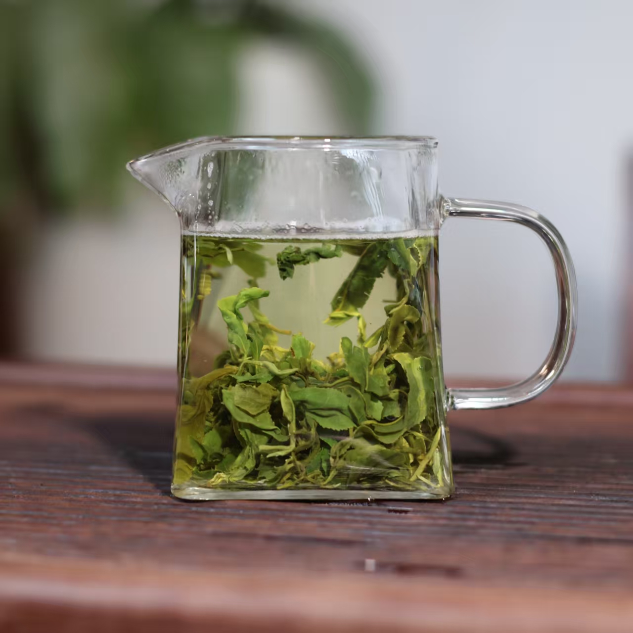 甲子山【秋茶上新】日照绿茶秋茶一芽一二叶手工采摘原产地高山好茶