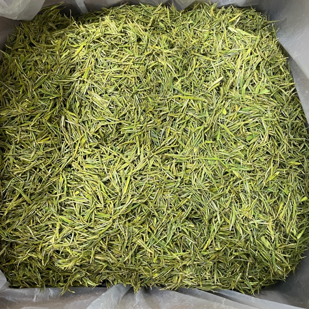 2025新茶黄金芽口粮茶雨前春茶花香回甘甜安吉茶叶