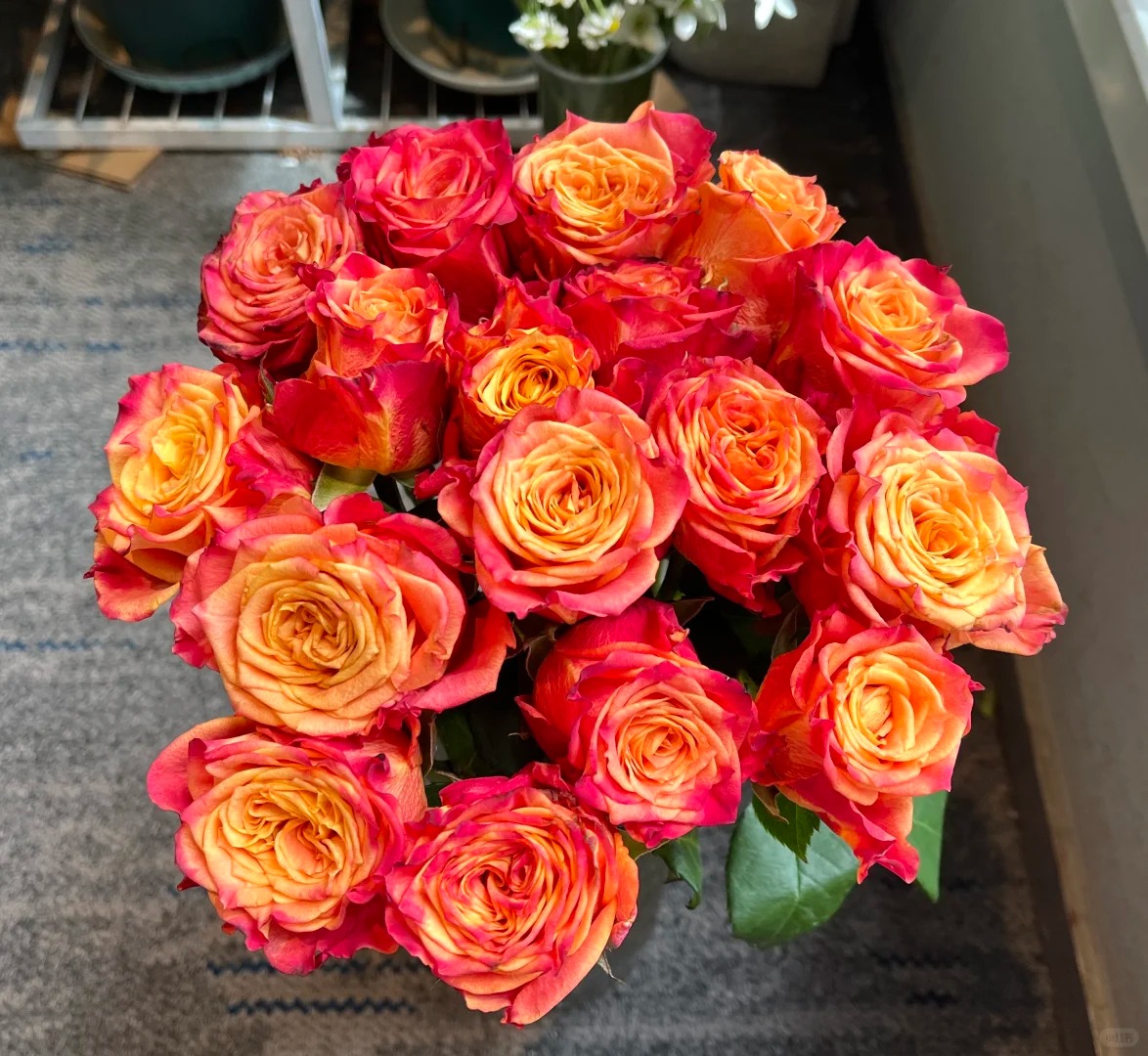 （蔓蔓）火焰单头玫瑰15支+5支防损 1单包邮