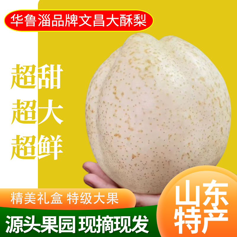 华鲁淄文昌大果酥梨皮薄多汁脆甜可口糖度高口感好精品礼盒装