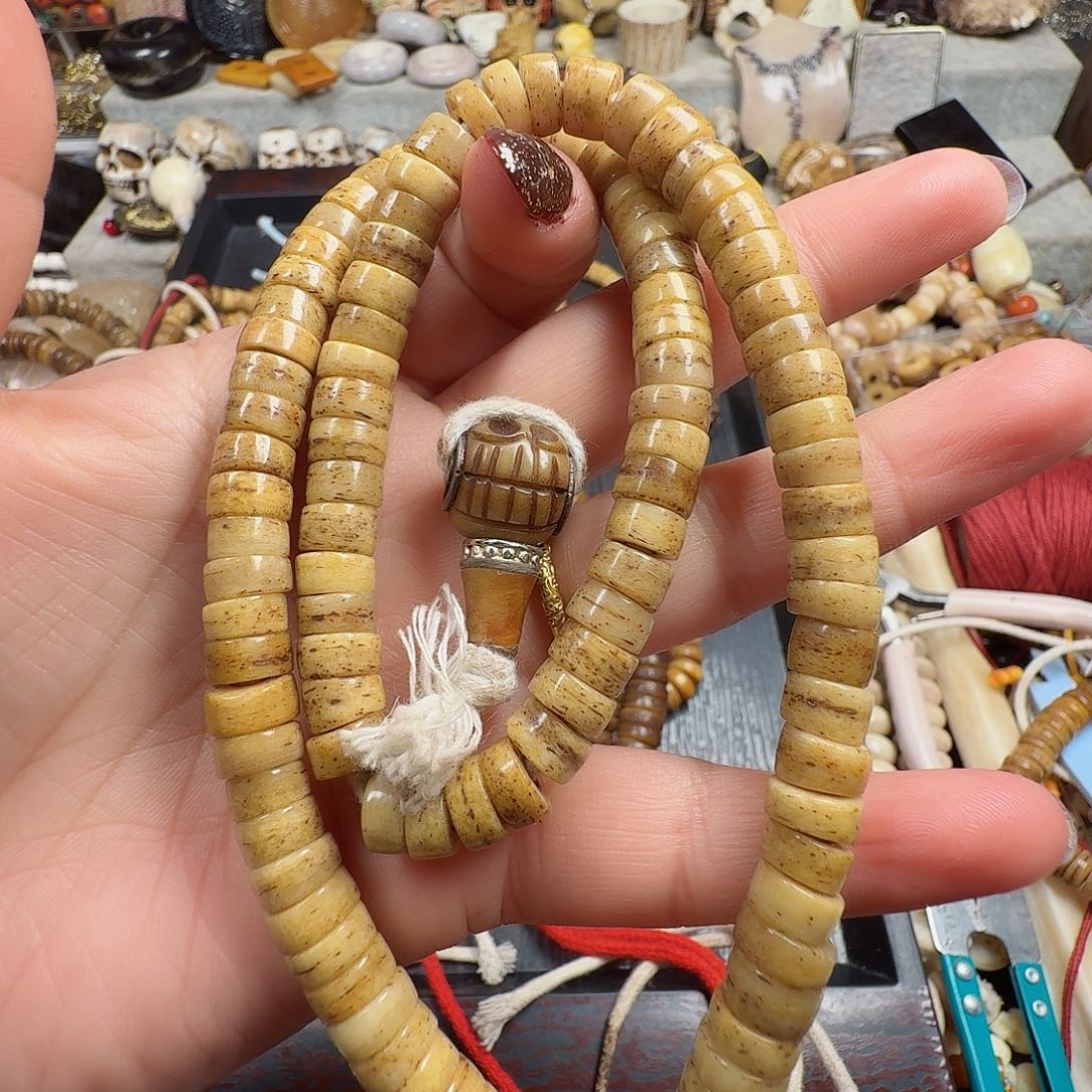 牛骨其他0000000000252