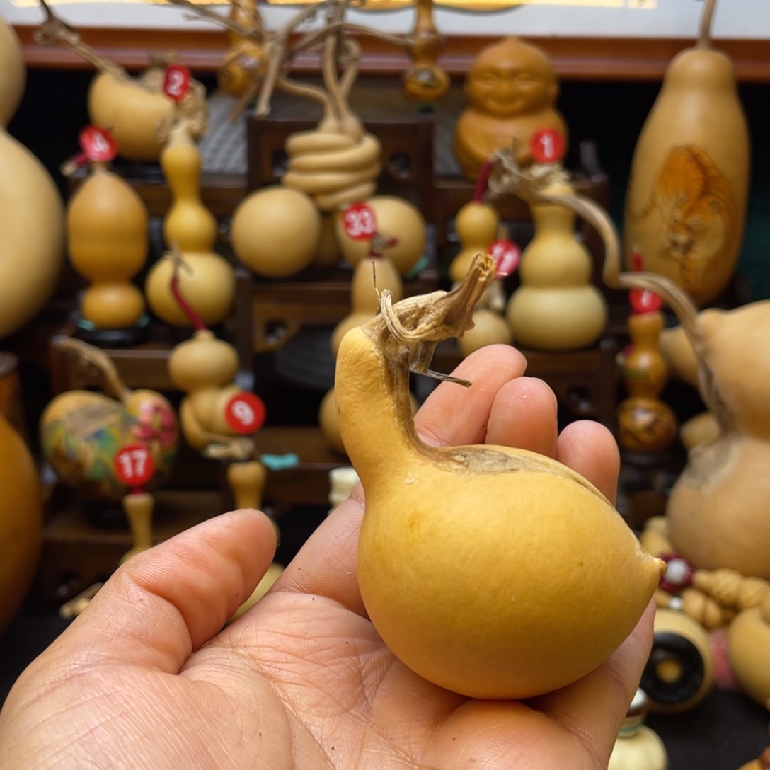 鱼****葫芦笙等多种乐器演奏而成为