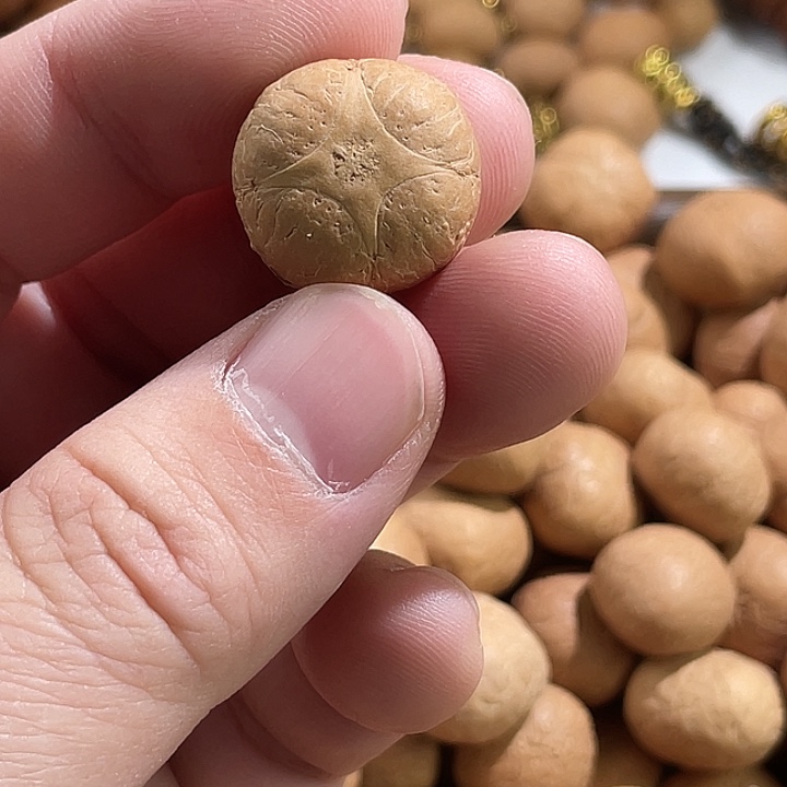 凤眼菩提吊坠尼泊尔小凤眼