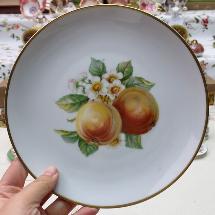 盘维多利亚欧洲中古