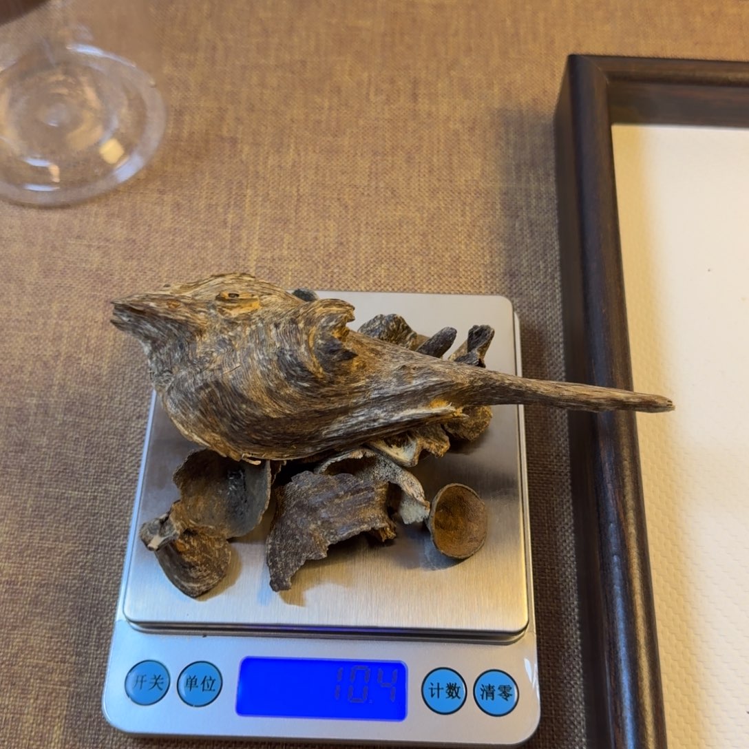 海南壳子10.4克多样性发一