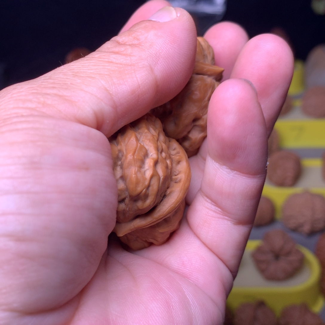 夫***瑞大叶紫檀（黑酸枝木类）蛤蟆头