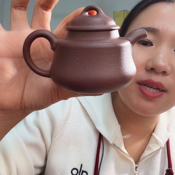 紫砂茶壶紫泥竹顶壶160cc