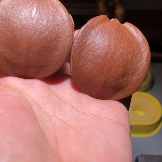 把件橄榄核异型三角橄榄