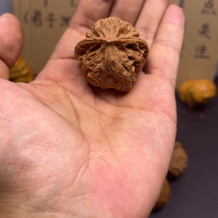 发***哥菩提籽类宫灯舌头有瑕疵磕碰