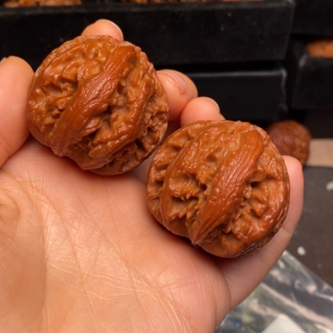 文玩核桃把件秦岭森林核桃