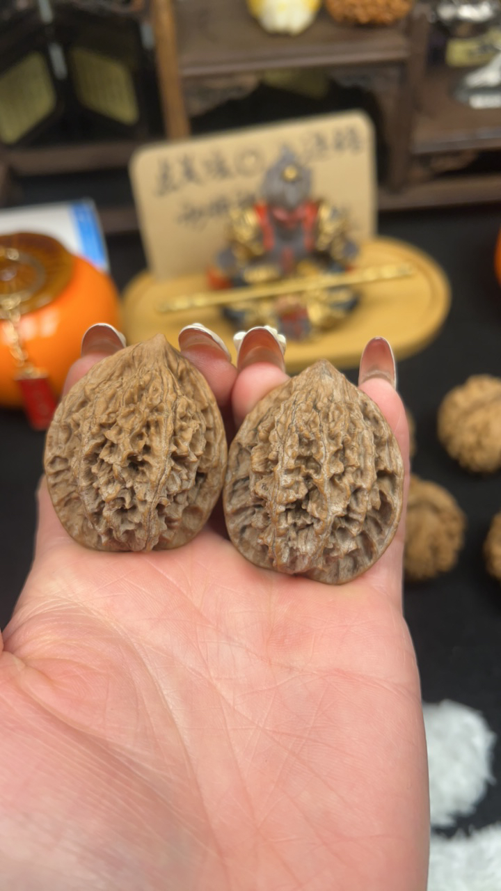 秦岭山地野生鸡心