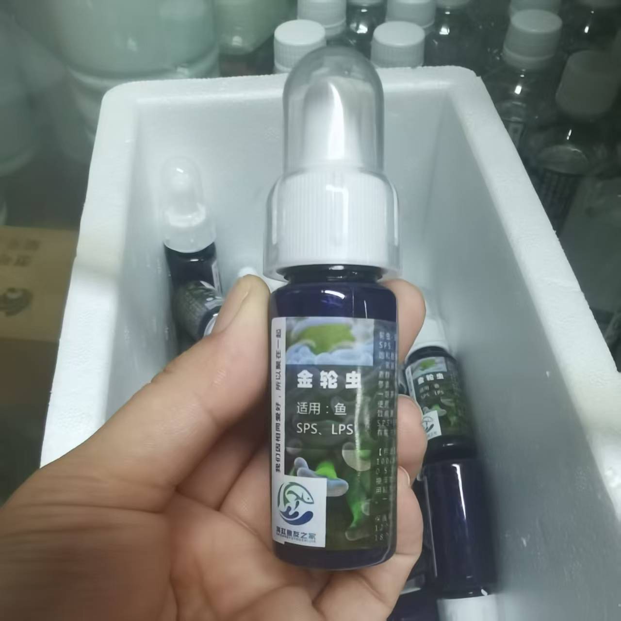 【推荐】液体珊瑚粮 金轮虫20毫升