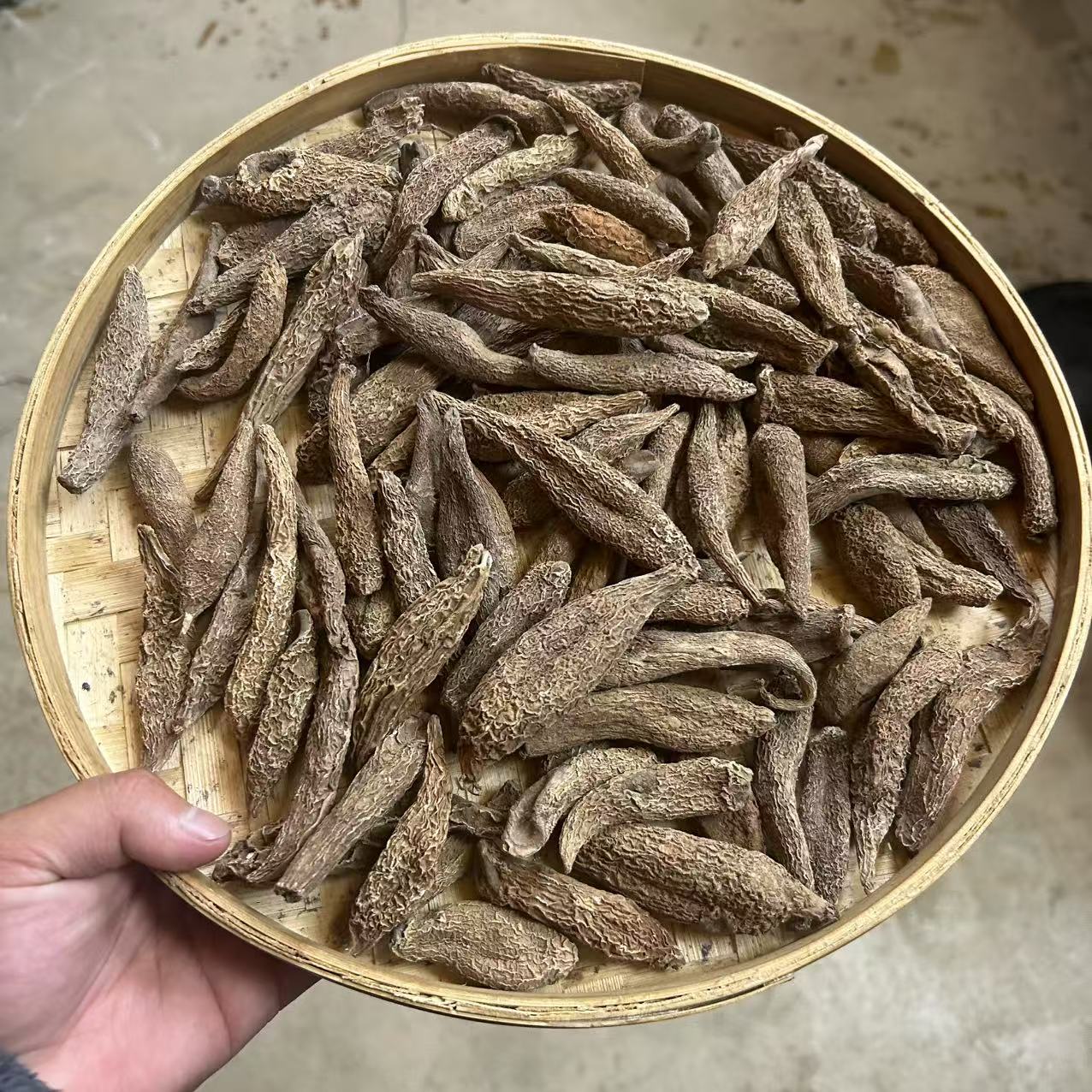 1【安-胃-丹-菇】净含量：250-1500g【小田现收】