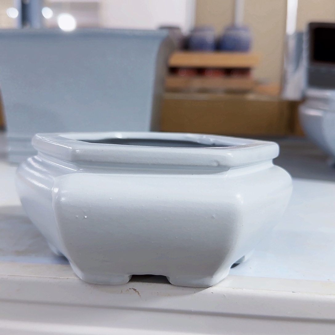 陶瓷花盆特价上新