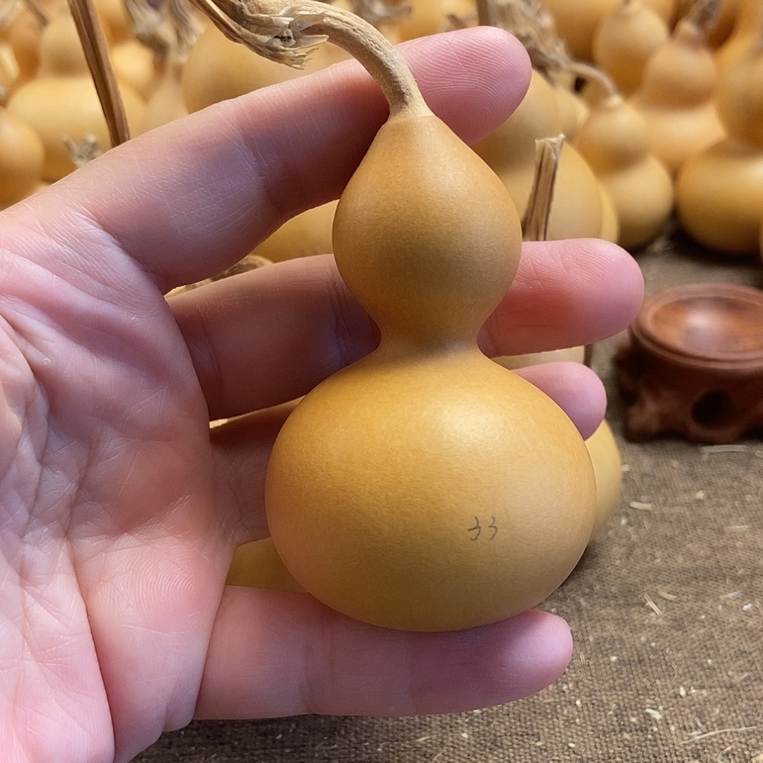 文玩葫芦 完美主义者 慎拍33