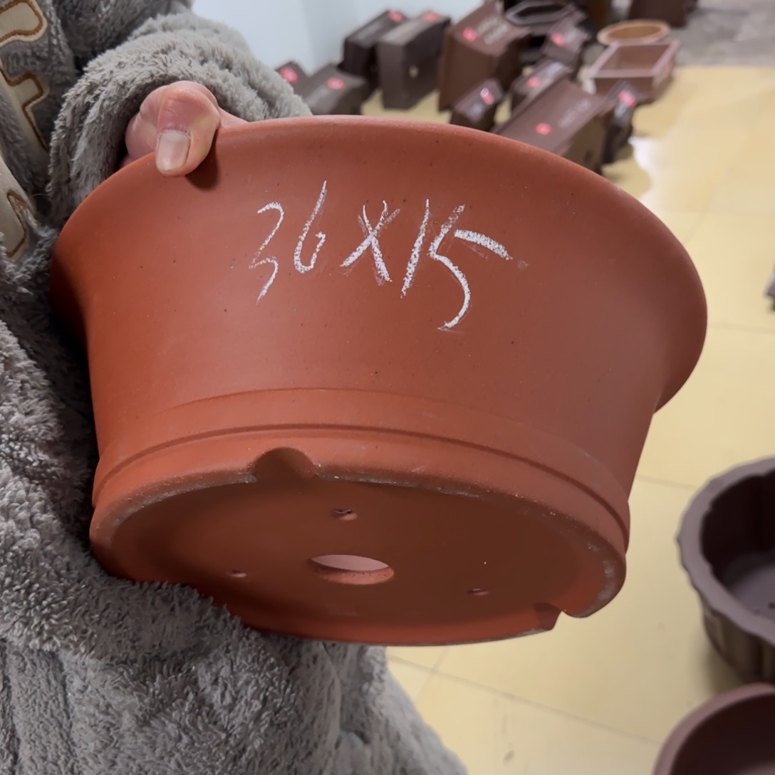 紫砂花盆呜呜呜呜