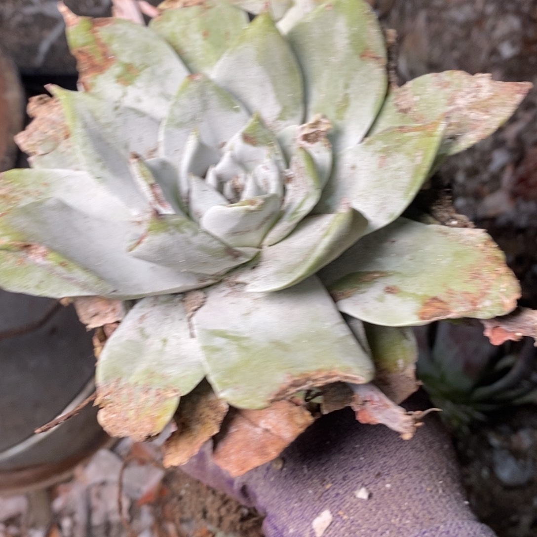 2117哈哈哈哈哈哈哈哈哈哈哈哈