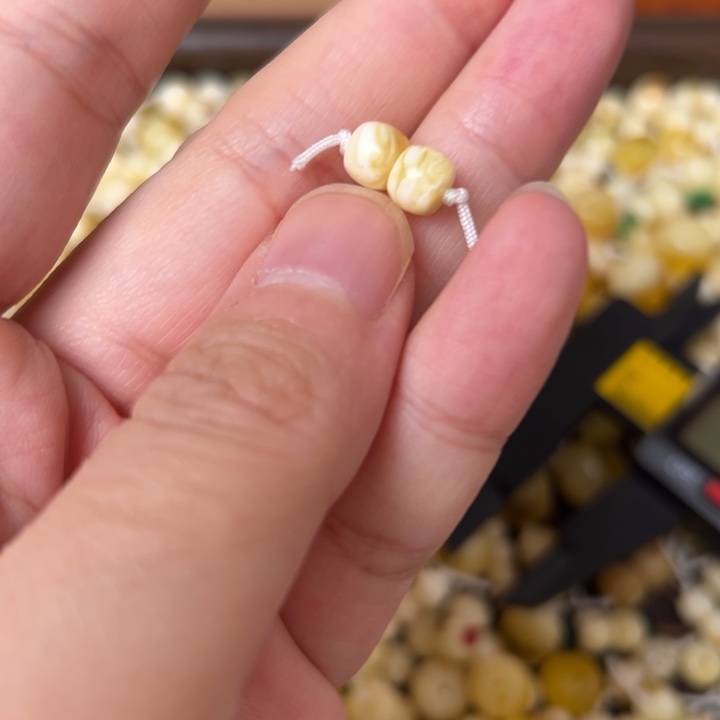 蜜蜡未镶嵌裸石6.1mm一对