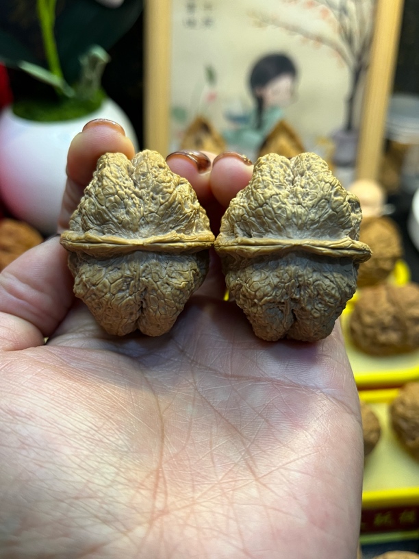 云南野生铁核桃（临沧古蟾）尺寸44