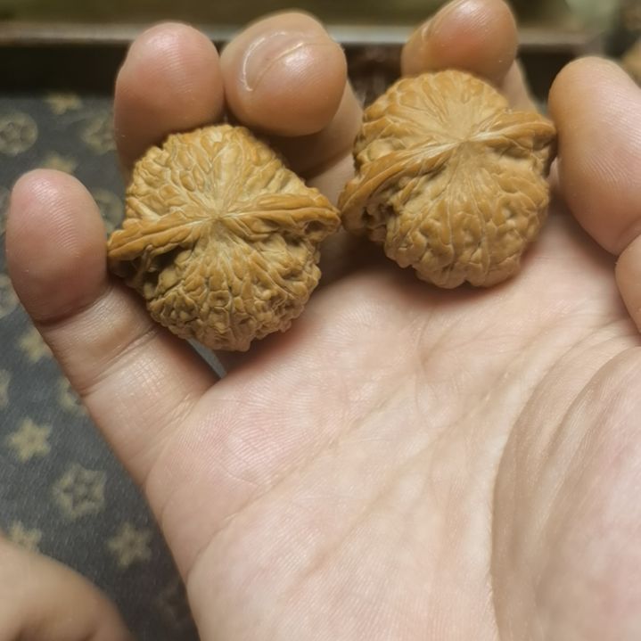 文玩核桃把件36磨盘狮子头