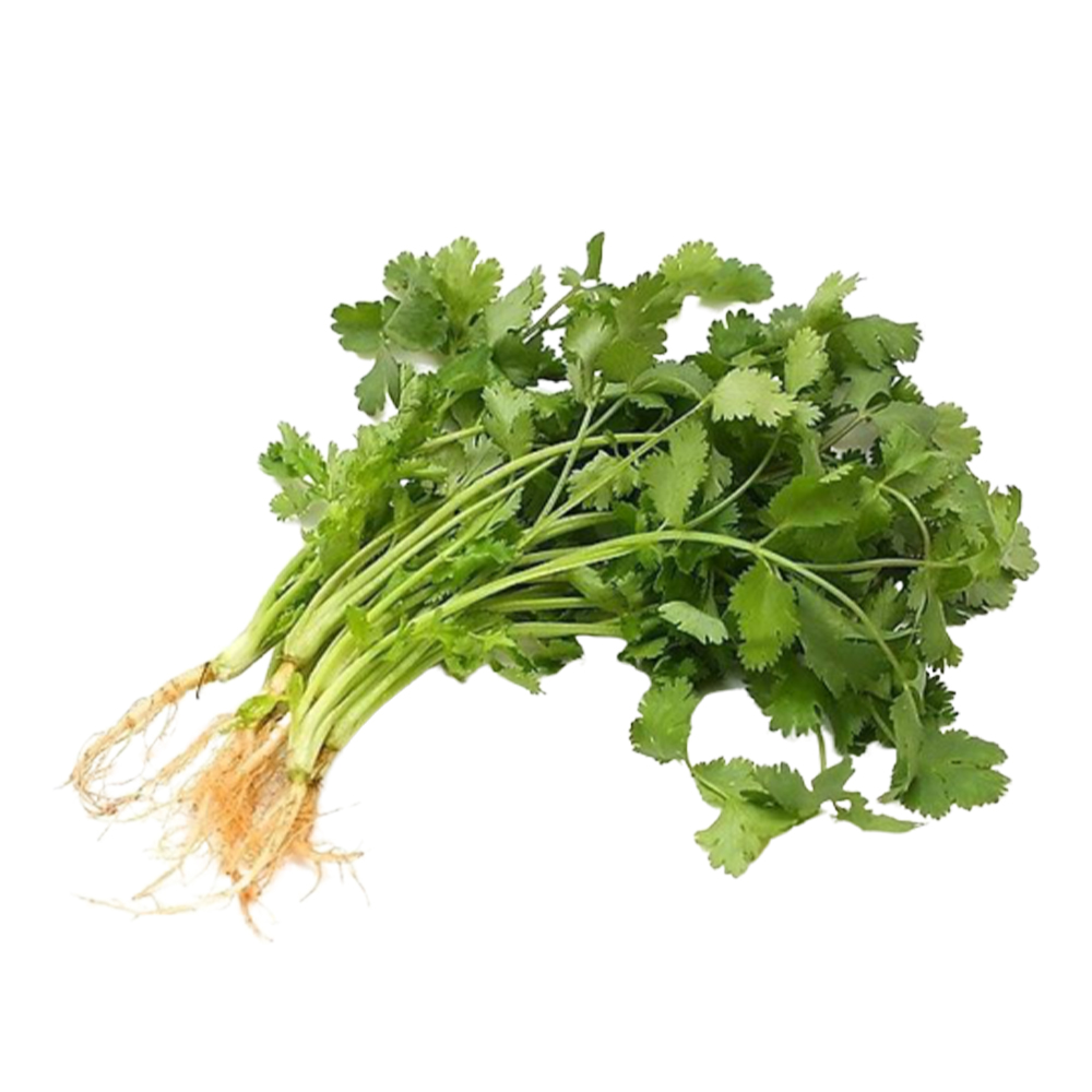 精品新鲜香菜100g 香菜