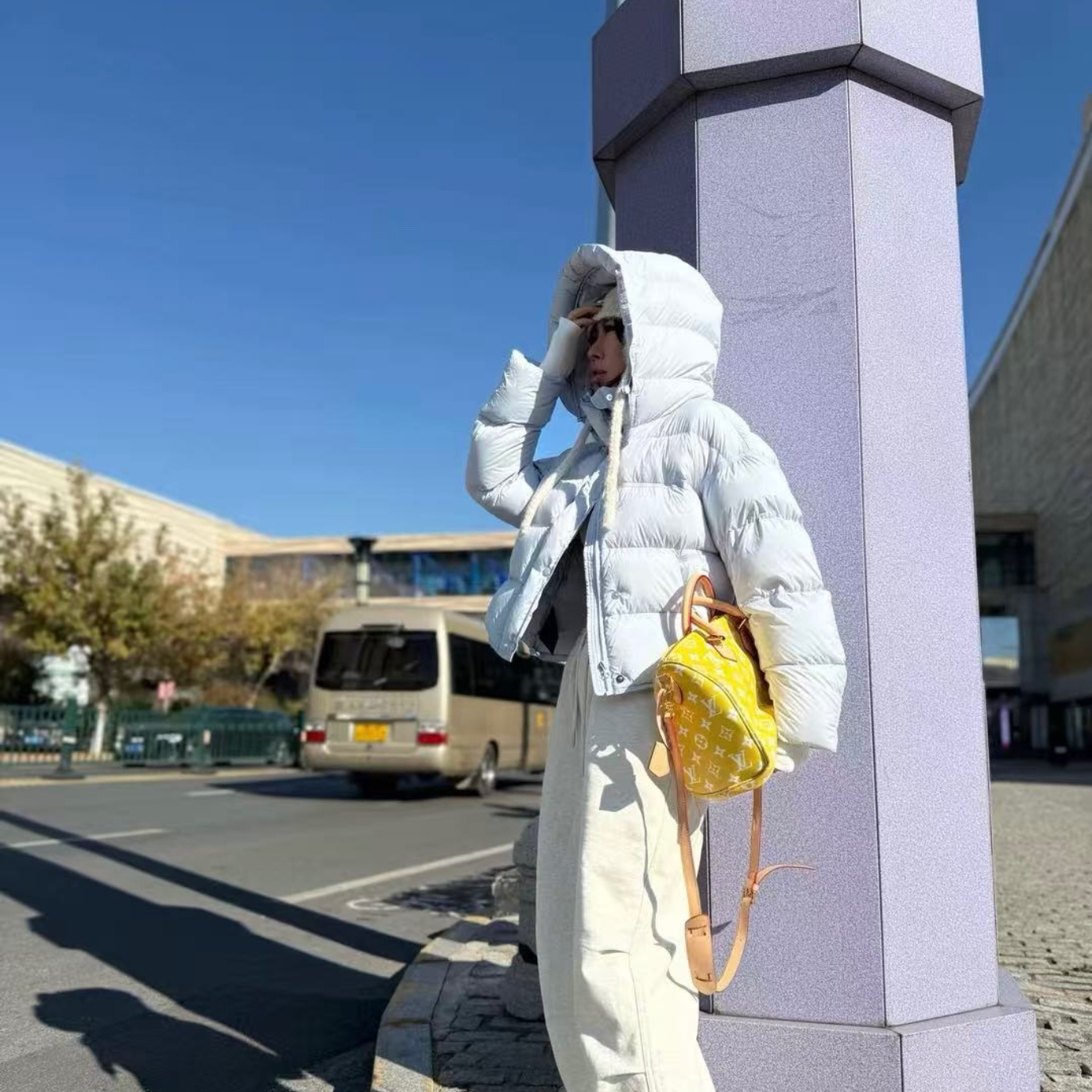 轻柔云感95白鸭绒泡芙龟背女短款加厚羽绒服