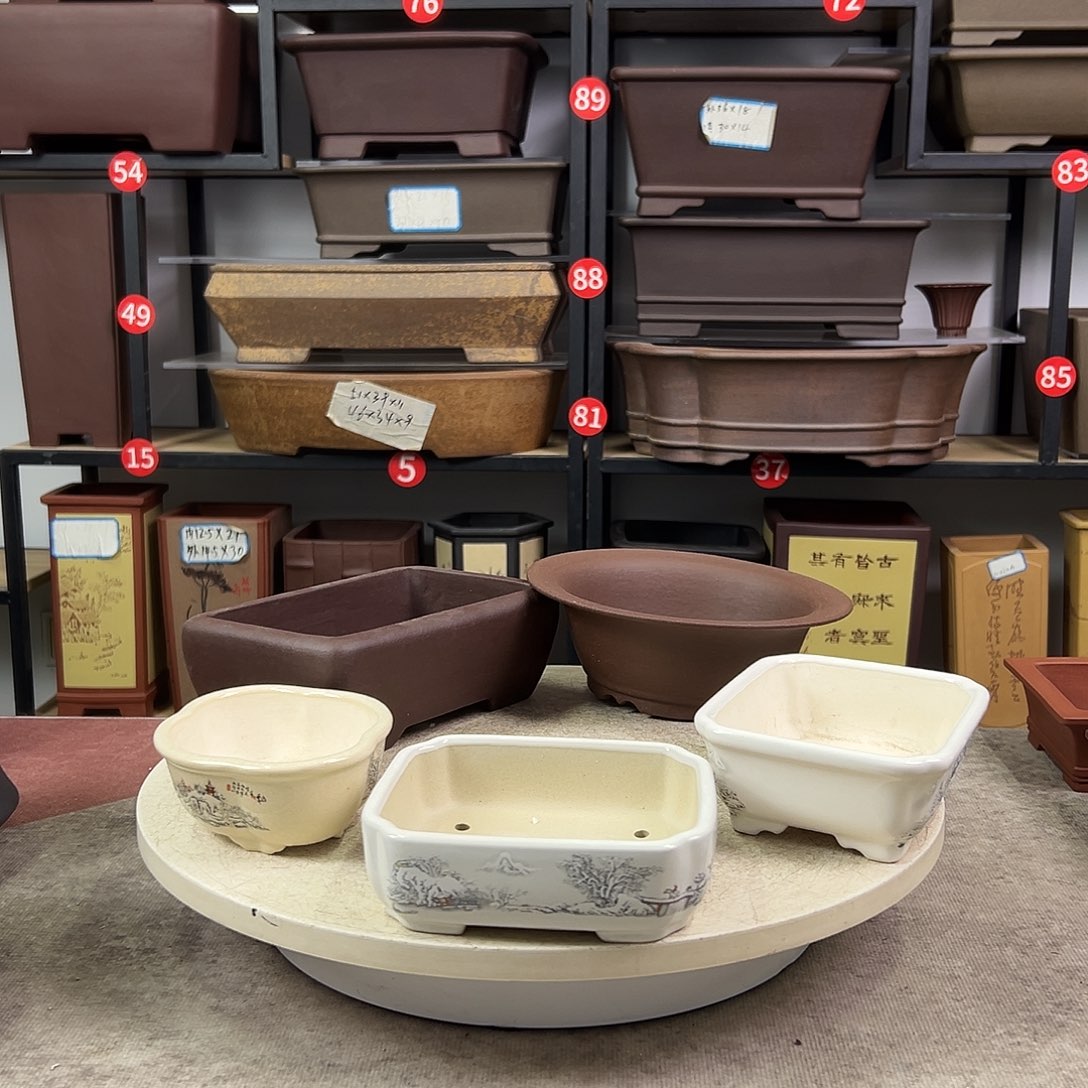 紫砂花盆开播福利5只00000