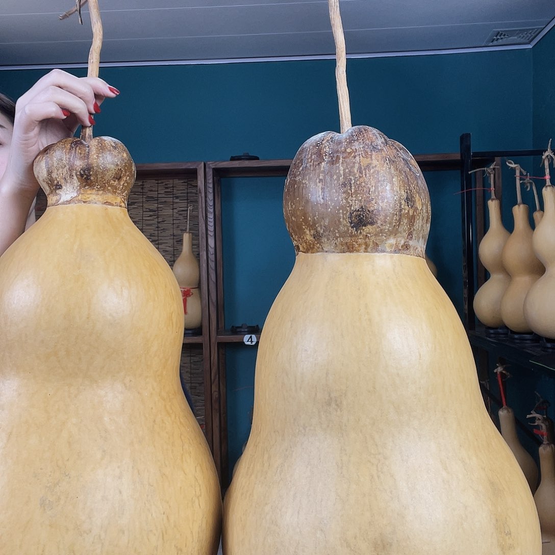 *️****大葫芦大葫芦大葫芦