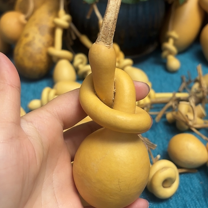 淡***殇一把葫芦便宜漏了