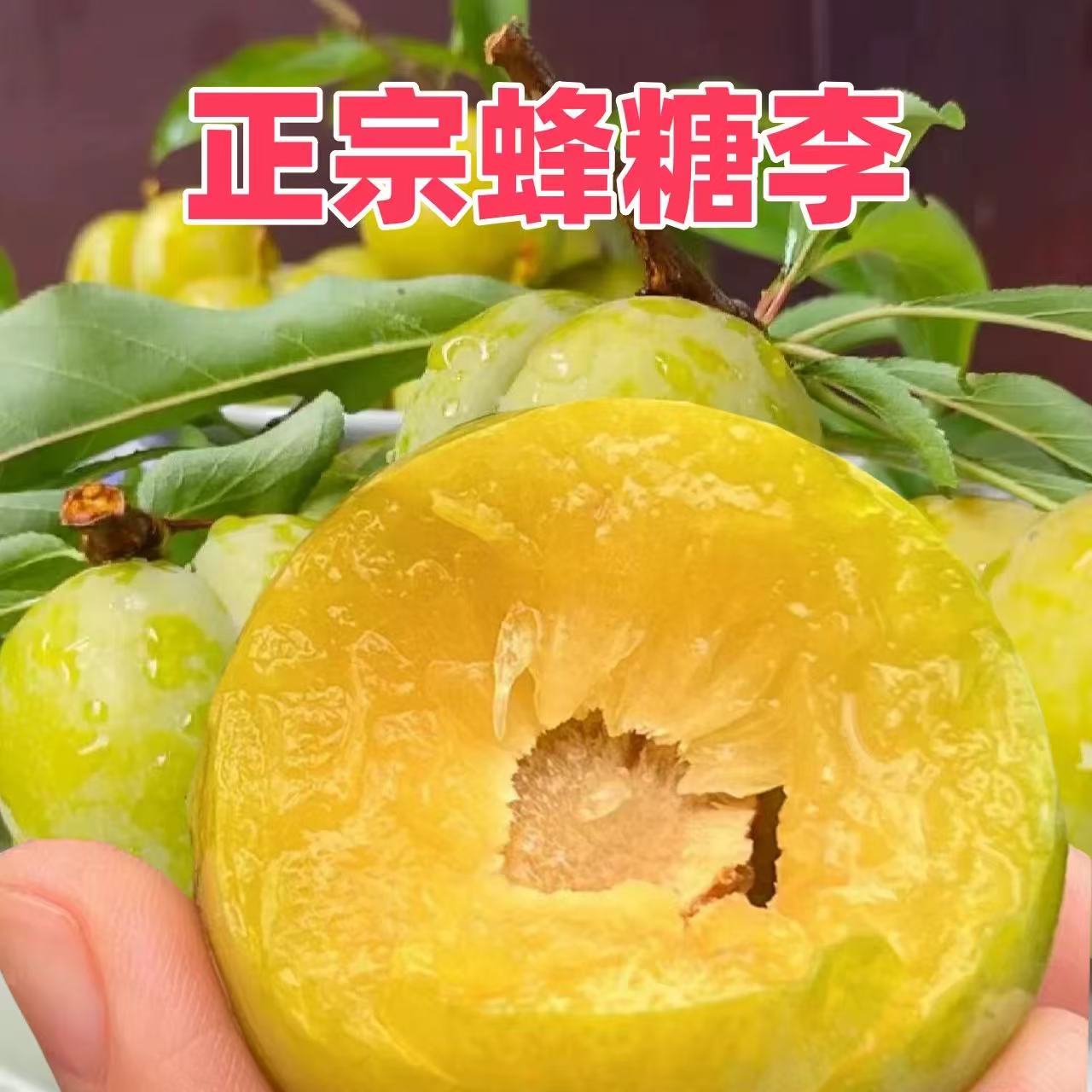 【产地直发】正宗蜂糖李3斤 新鲜现摘现发酸甜爽口脱骨孕妇李子