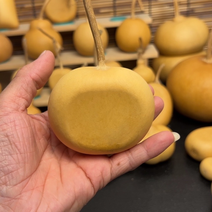 啊**噗葫芦葫芦葫芦葫芦葫芦葫芦