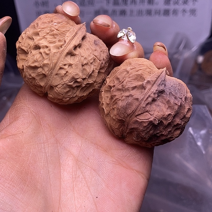 核桃云南野生铁核桃146号42mm