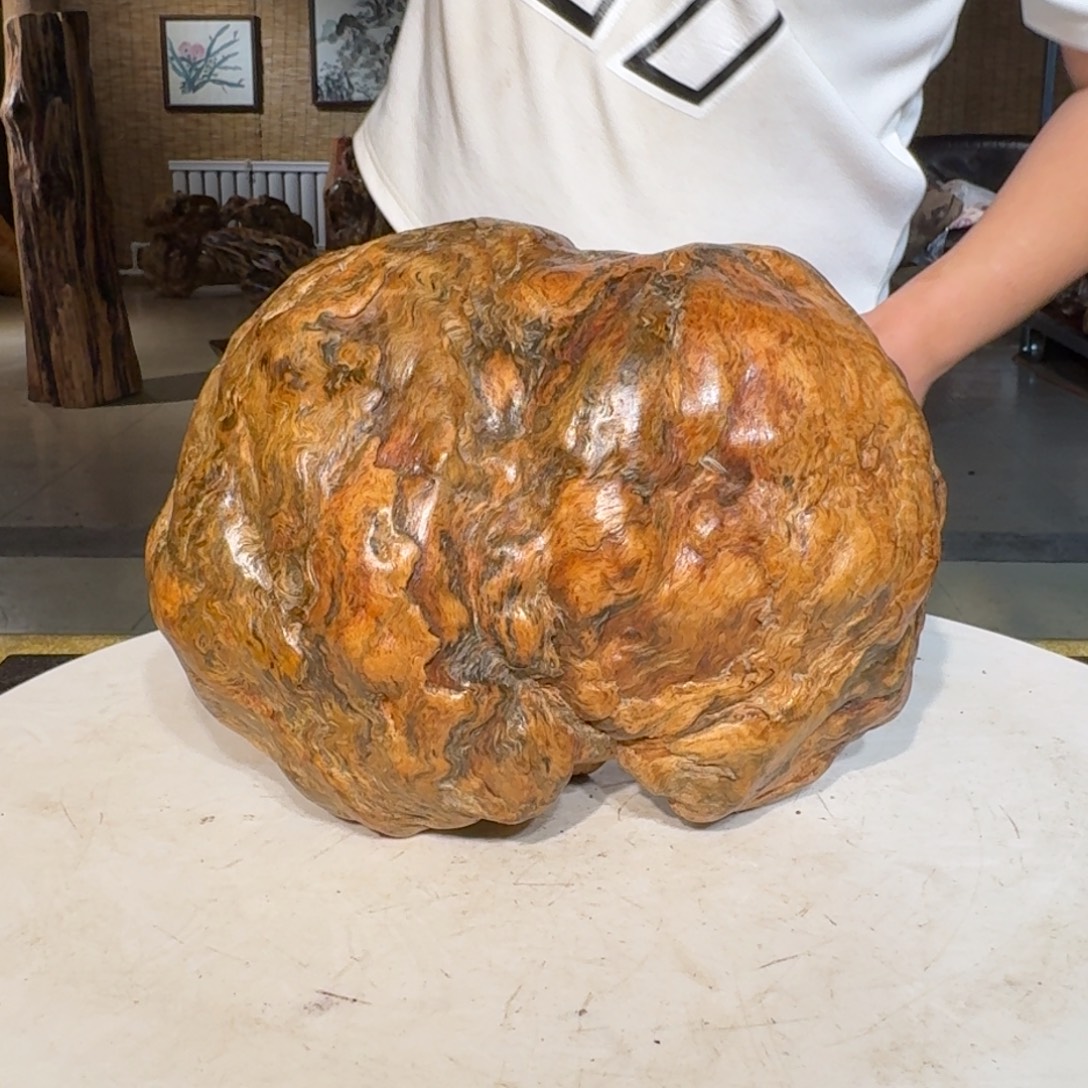 山***兮琥珀木北沉香琥珀木摆件定向链接23