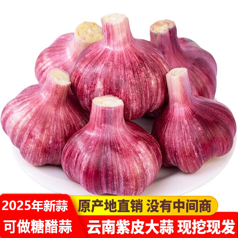 【3斤 大果】2025年云南紫皮大蒜白蒜香辣新鲜现挖湿蒜糖醋腊八蒜