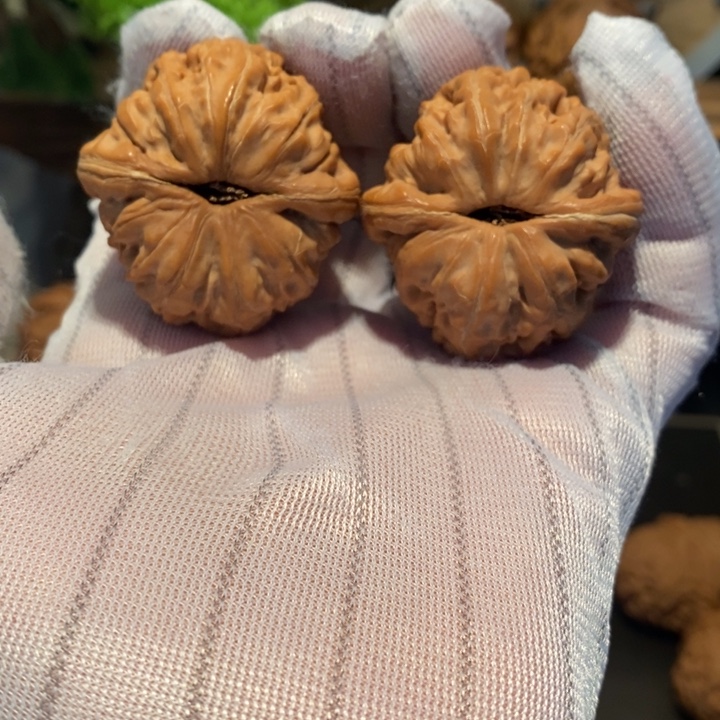 桃核吊坠41尺寸元宝