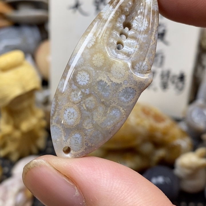 硅化珊瑚（珊瑚玉）未镶嵌颈饰