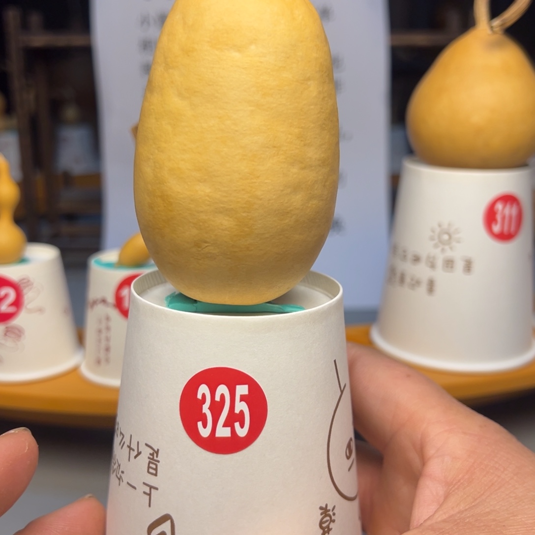 闪电购自助下单编号325