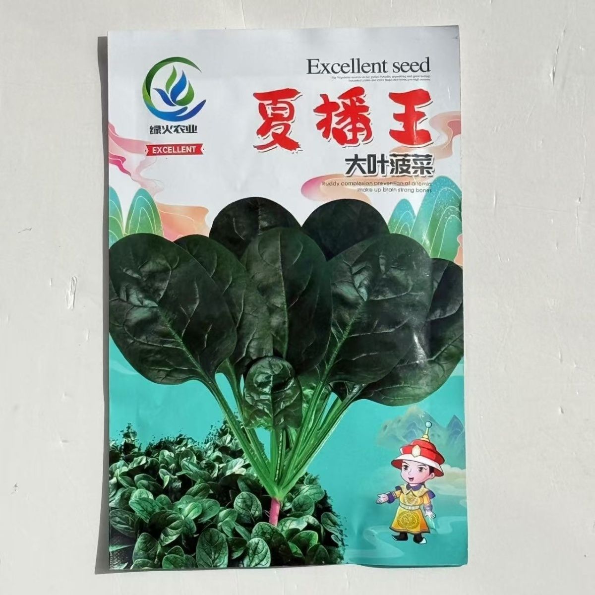 夏播王菠菜种子耐热高产适合大田庭院种植