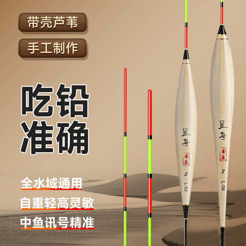 高端本色带壳芦苇浮漂