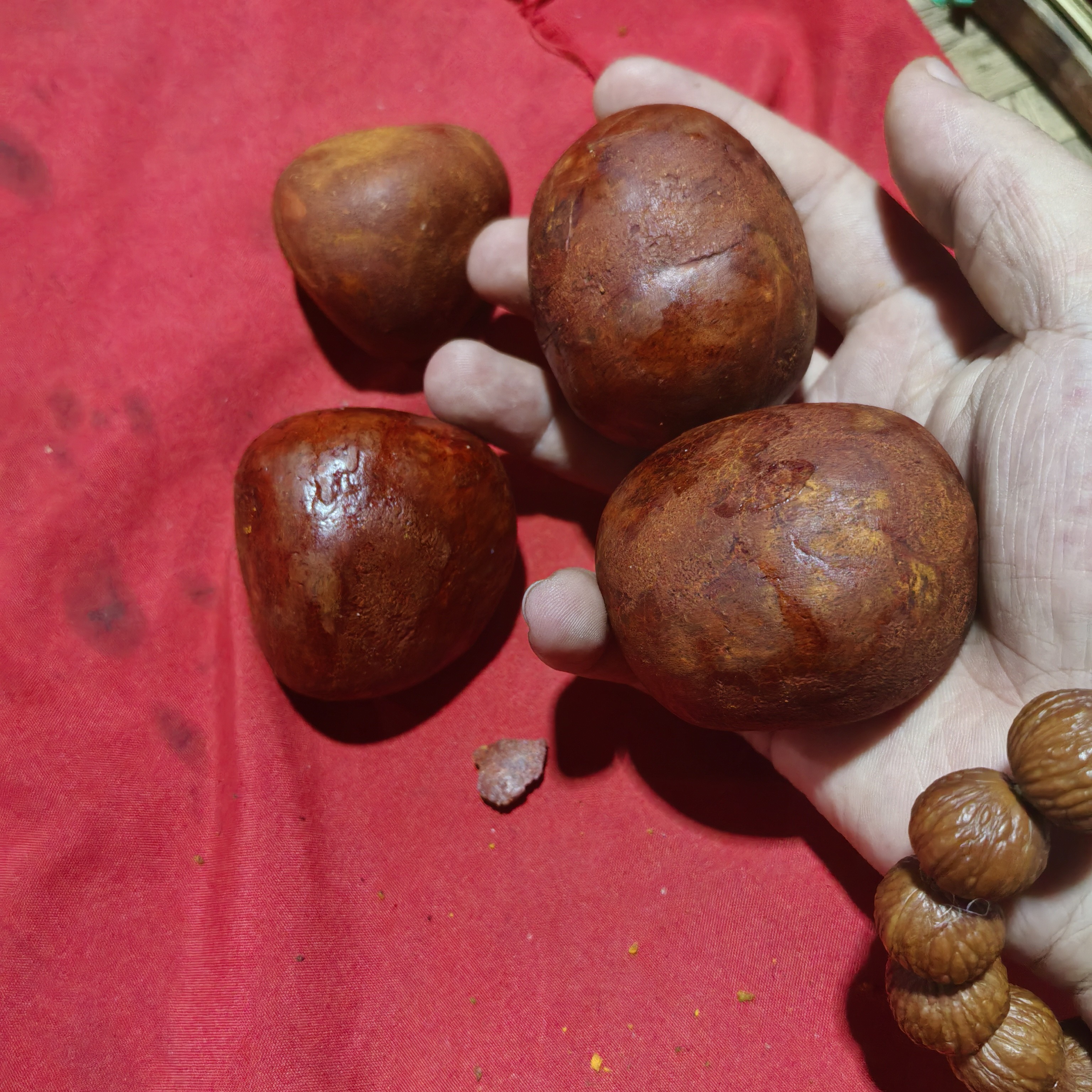 云南边境好物（N）黄粒60g-70g