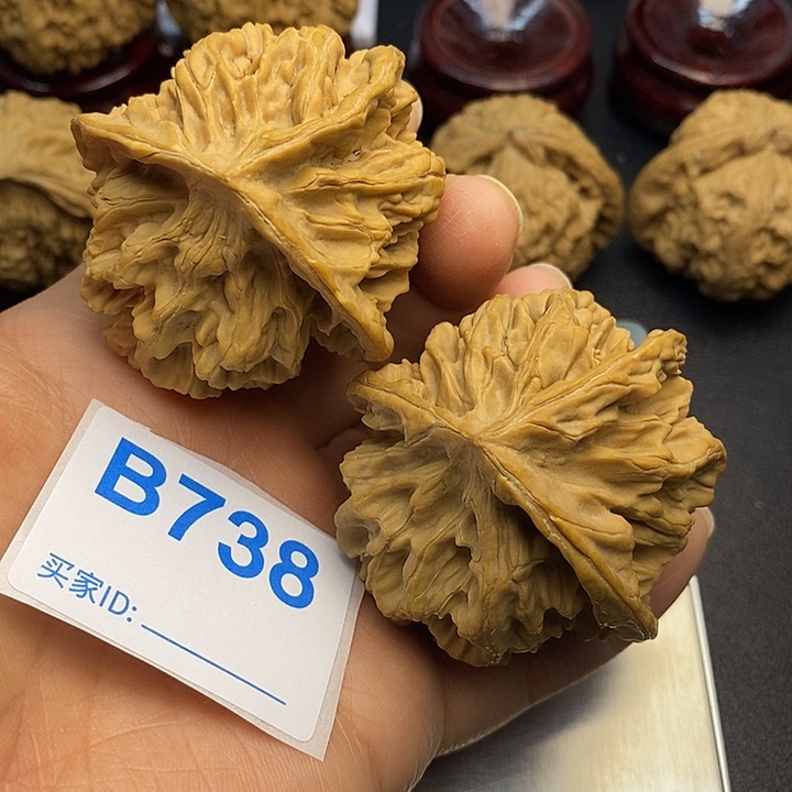 核桃帝王三棱5.3，小5.8，克重67