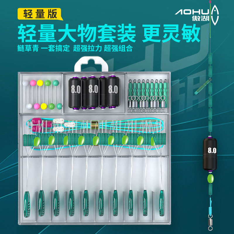傲湖轻量大物钓鱼渔具配件太空豆组合线组加固鲢草青垂钓配件套装
