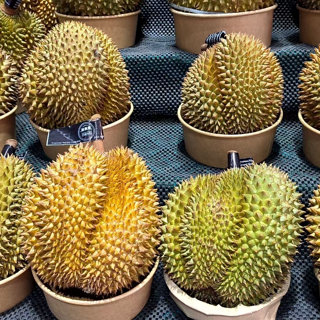 【生活馆】甲仑榴莲一整颗（果形好核大）奶香浓郁入口回甘榴莲同城送