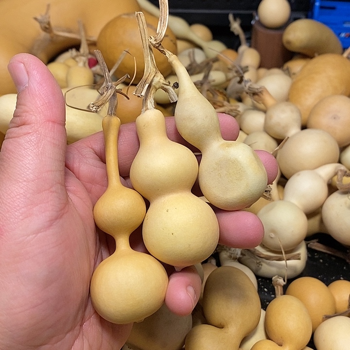 醒精品葫芦手把葫芦16