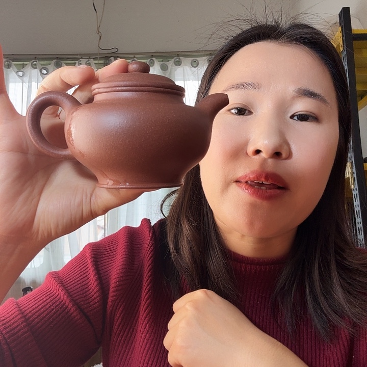 紫砂茶壶紫泥底槽青掇支260cc