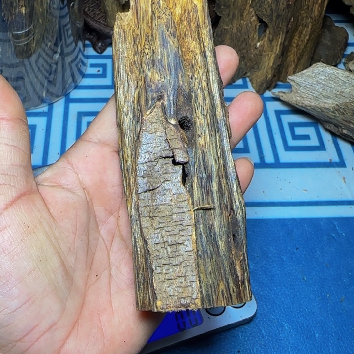 木绿奇陆河虫漏54克