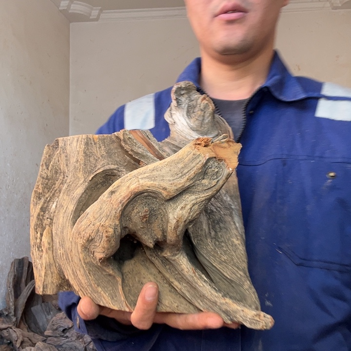 有机玻璃崖柏摆件